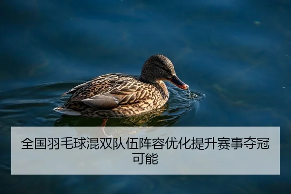 全国羽毛球混双队伍阵容优化提升赛事夺冠可能（JIUZHOU SPORTS）